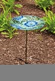 Poppy Paradise Glass Birdbath