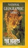 Picture Of National Geographic Video - Beauty And The Beasts - A Leopard's Story