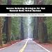 Book Success Marketing Strategies For Your Research Books Online Business