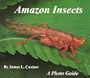 Amazon Insects - A Photo Guide