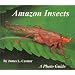 Amazon Insects - A Photo Guide