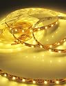 LED Strips