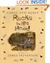Rocks in His Head