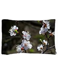Home: Microfiber Peach Queen Size Soft And Silky Decorative Pillow Cases -Nature branch Flowers fruit tree sunny spring - Natrue Pillowcases