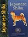 Image of Japanese Shiba (Pet love; special rare breed edition)