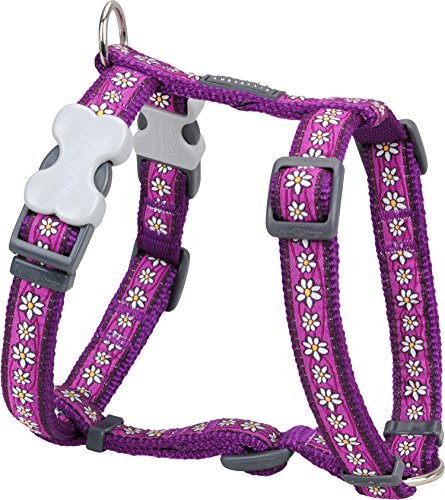 Red Dingo Designer Dog Harness, Small, Daisy Chain Purple