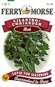 Ferry-Morse 1270 Cilantro Herb Seeds (1.2 Gram Packet)