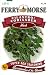 Ferry-Morse Herb Seeds 1270 Cilantro 1.2 Gram Packet