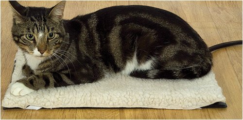 K&H Outdoor Heated Kitty Pad