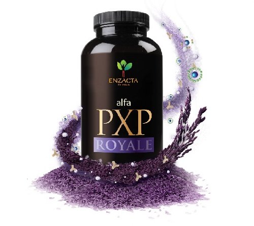 Alfa PXP Royale 454 grm 90 Servings
