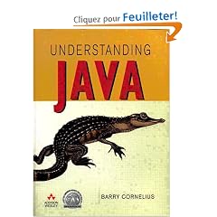 Understanding Java
