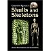 Skulls and Skeletons: Human Bone Collections and Accumulations
