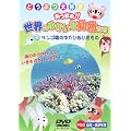 サンゴ礁のゆかいないきもの [DVD]