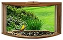 Birding Company 78621 Songview In-House Window Feeder