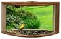Birding Company 78621 Songview In-House Window Feeder