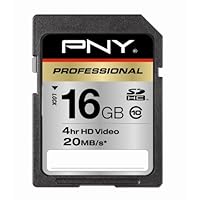 PNY Professional 16 GB Class 10 Hi-Speed SDHC 20MB/s 133x Flash Memory Card P-SDHC16G10-EF (Black)