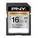 PNY Class 10 Professional 16GB SD Card