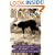Dogs: A Startling New Understanding of Canine Origin, Behavior & Evolution