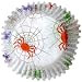 Spider Frenzy Baking Cups 50ct