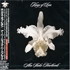A-Ha Shake Heartbreak by Kings of Leon