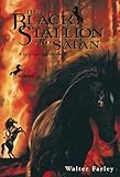 The Black Stallion and Satan