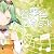 若葉色D-i-s-k