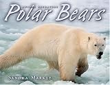 Animal Predators:Polar Bears (Gr.4-6)