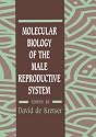 Molecular Biology of the Male Reproductive System