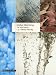 Global Warming: The Hard Science by Danny Harvey