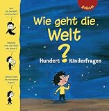 Wie geht die Welt?: 100 Kinderfragen - Matthieu de Laubier