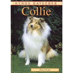 Collie