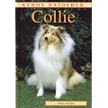 Collie
