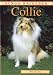 Collie Image of Collie