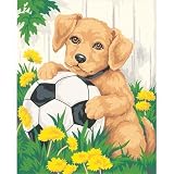 Puppy & Soccer Ball PBN