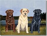 '3 Labs' by M. K. Zeppa - Ceramic Tile Mural 12.75' x 17' Kitchen Shower Backsplash