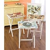 Natures Wonders Set of Four TV Trays with Stand