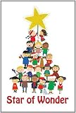 Star of Wonder Christmas Postcard (Package of 25): We ve seen his star in the east, and we ve come to honor him. Matthew 2:2