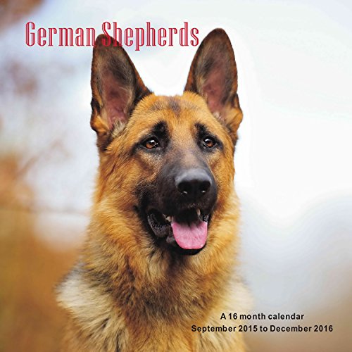 German Shepherds Calendar - 2016 Wall calendars - Dog Calendars - Monthly Wall Calendar by Magnum