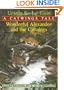 Wonderful Alexander And The Catwings (Turtleback School & Library Binding Edition) (Catwings (Pb))