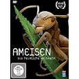 Produkt-Information 