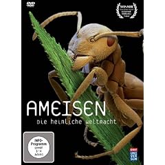 Ameisen - Die heimliche Weltmacht