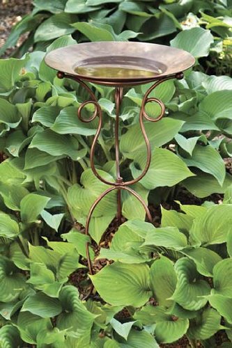 Cantina Del Sol Bird Bath