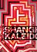 Shanghai Kaleidoscope