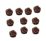 8mm Genuine Rudraksha Seed Beads, Rudraksha Seed Loose Beads, 10 Pcs