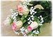 Set of 3-Cream with Pink Edges Colored Silk Closed Rose Bud Bushes