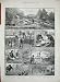 1890 Fish Breeding Surrey Trout Farm Ova Spawning Men