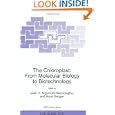 The Chloroplast: From Molecular Biology to Biotechnology (NATO Science Partnership Sub-Series: 3:) by Joan H. Argyroudi-Akoyunoglou and Horst Senger