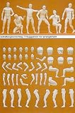 Preiser 63900 Combination Kit Adam (Unpainted)