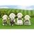 Sylvanian Families Sheep Family