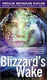 Blizzard's Wake
